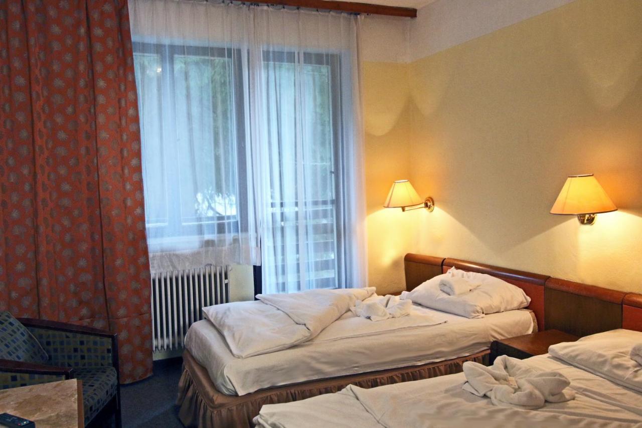 Hotel Medlov Depandance Fryšava Esterno foto